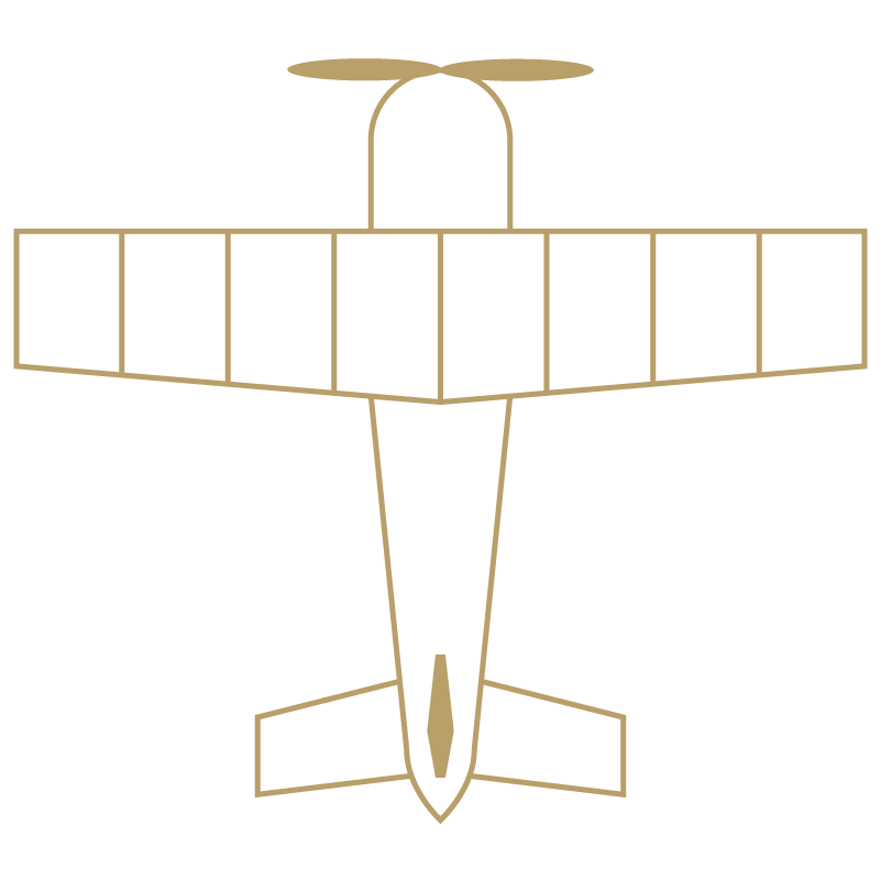 Aeroplane with a birds eye view illustration
